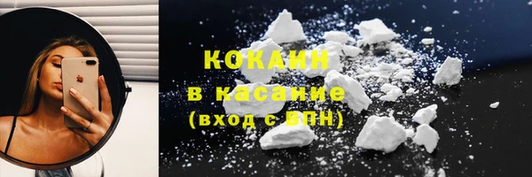 прущие грибы Ступино