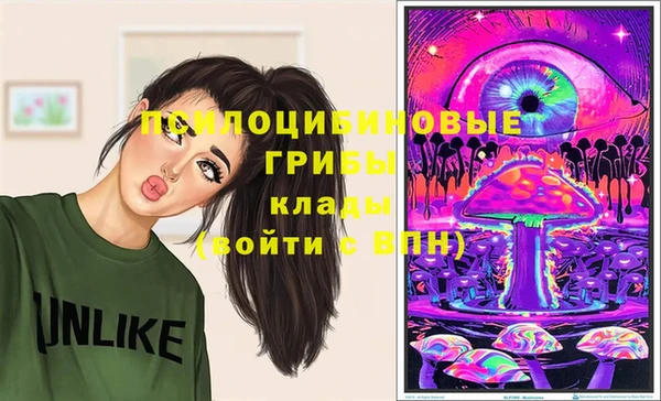 ПСИЛОЦИБИНОВЫЕ ГРИБЫ Богородицк