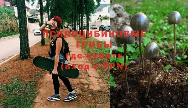 MDMA Богородск