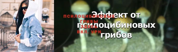 ПСИЛОЦИБИНОВЫЕ ГРИБЫ Богородицк