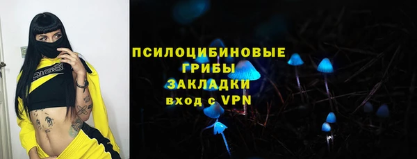 ПСИЛОЦИБИНОВЫЕ ГРИБЫ Богородицк