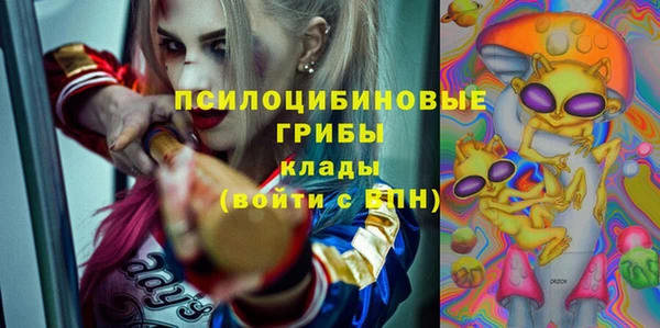ПСИЛОЦИБИНОВЫЕ ГРИБЫ Богородицк