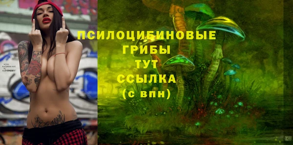 MDMA Богородск