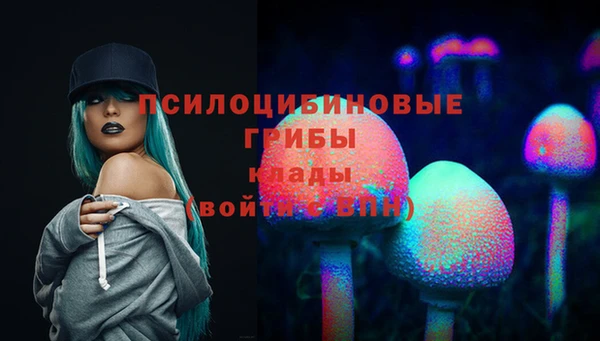 MDMA Богородск
